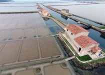 Sečovlje Salina Expert Birdwatching Tour with Iztok Škornik