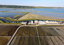 Sečovlje Salina Expert Birdwatching Tour with Iztok Škornik