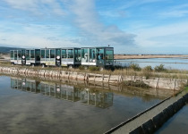 Sečovlje Salina Expert Birdwatching Tour with Iztok Škornik