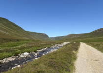 Full-Day Aberdeenshire Habitats Birding Tour