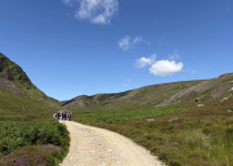 Full-Day Aberdeenshire Habitats Birding Tour
