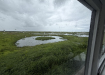 Two-Day North-East Scotland Birding Weekend
