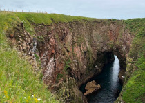 Aberdeenshire Puffin and Breeding Seabird Tour