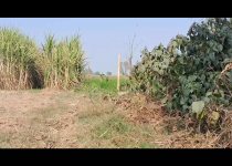 Custom India Birdwatching and Wildlife Photography Tour