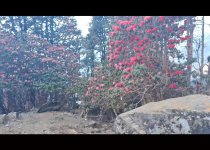 Custom India Birdwatching and Wildlife Photography Tour
