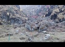 Custom India Birdwatching and Wildlife Photography Tour