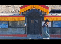 Custom Nepal Birdwatching and Wildlife Photography Tour