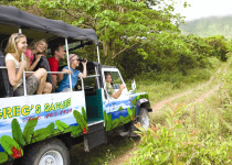 St Kitts Cross-Country 4x4 Birdwatching and Beach Tour