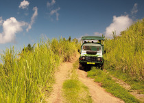 St Kitts Cross-Country 4x4 Birdwatching and Beach Tour