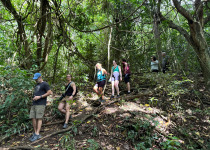 St Kitts Cross-Country 4x4 Birdwatching and Beach Tour