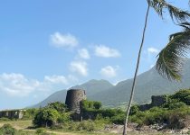St Kitts 4x4 Sugar Heritage and Birdwatching Tour