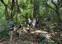 St Kitts 4x4 Sugar Heritage and Birdwatching Tour
