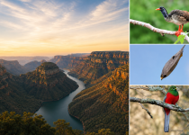 Mariepskop and Blyde River Canyon Hiking Tour