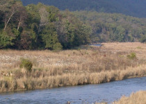 Best of Uttarakhand and the Himalayas