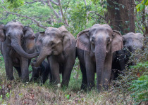 Best of Uttarakhand and the Himalayas