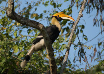 Best of Uttarakhand and the Himalayas