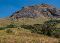Western Ghats Endemic Birds