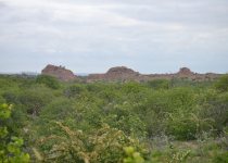 Venda and Mapungubwe area landscape on a birding and heritage route with Lucas Namanyane