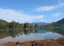 Blue River Provincial Park Private Kagu Birding Tour