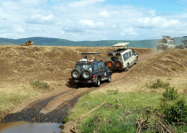 9-Day Northern Tanzania Birding and Wildlife Safari