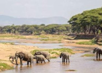 17-Day Tanzania Bird and Wildlife Photographic Safari