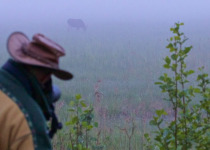 Poland Birding Festival