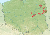 Poland Birding Festival