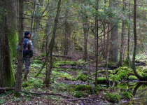 Poland Birding Festival