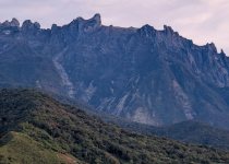 Private Custom Sabah Birding Itinerary with Jason Bugay Reyes