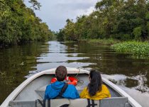 Private Custom Sabah Birding Itinerary with Jason Bugay Reyes