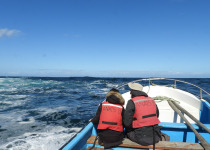 Patagonia 7 Eco-Regions Birding Tour