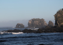 Patagonia 7 Eco-Regions Birding Tour