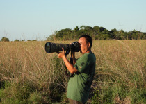 Iberá Wetlands Birding Tour
