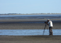 Punta Rasa Coastal Birding Tour
