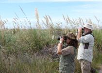 Punta Rasa Coastal Birding Tour
