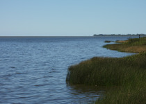Punta Rasa Coastal Birding Tour