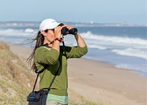 Uruguay Coast and Wetlands Birding Tour