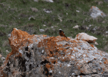 2 Day Trip - Greater Caucasus