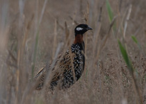 3 Day Trip - Southern Azerbaijan