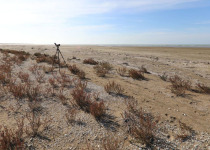 Bird Migration Tour (10 days)