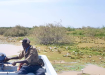 Private Senegal Birding Circuit with Mohamedine Seck