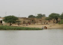 Private Senegal Birding Circuit with Mohamedine Seck