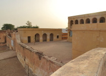 Private Senegal Birding Circuit with Mohamedine Seck