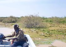 Private Djoudj Pirogue Birding and Wildlife Excursion