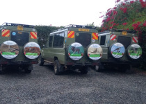 3-Day Nairobi and Amboseli Bird Photography Safari