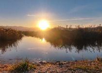 Private Three-Day Xativa Mountains Steppe and Wetlands Birding Break