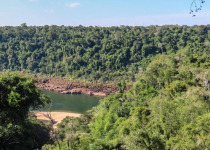 Macuco Trail Birding Tour