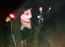 Iguazú Owling and Night Birding Tour