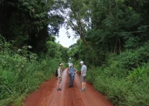 Route 101 Atlantic Forest Birding Tour