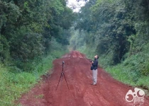 Route 101 Atlantic Forest Birding Tour